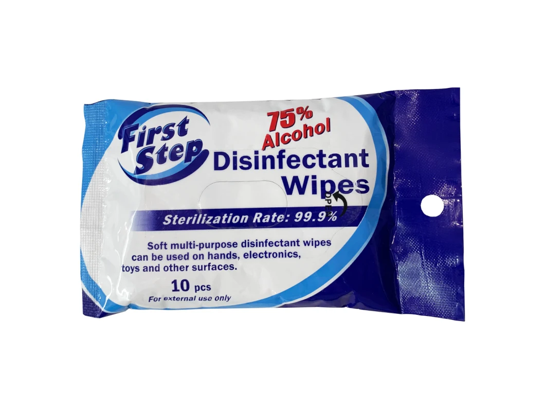 Household Sanitizing Wipes EPA Wipe Disposable Wipes 10PCS Wipe Mini